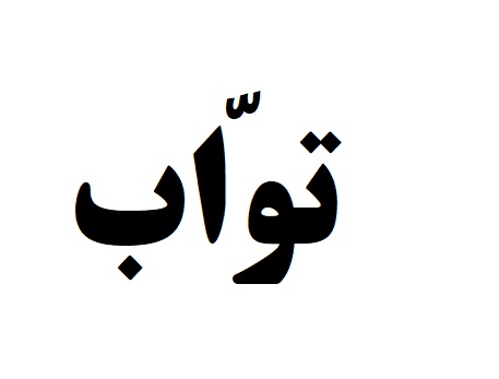 تواب