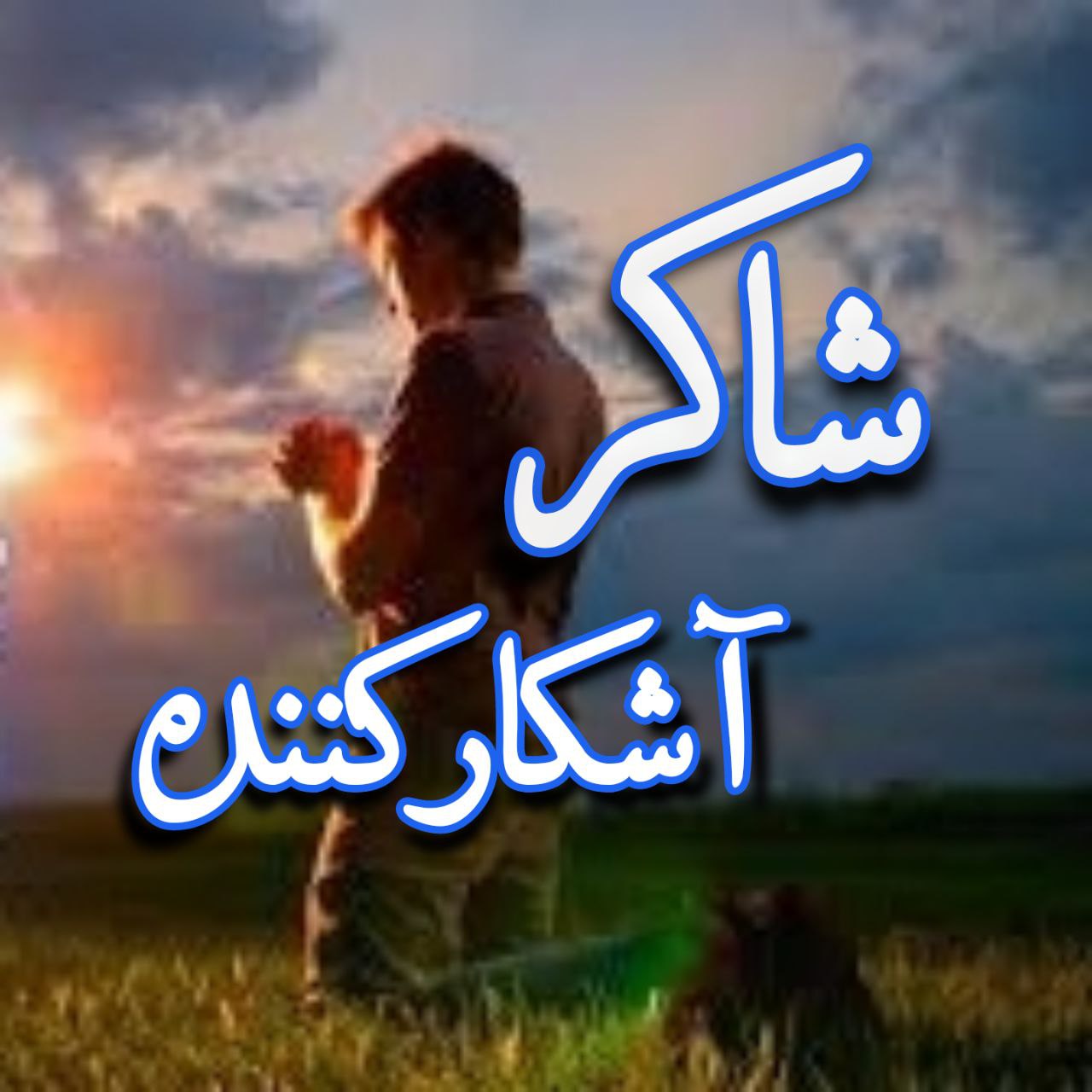 شاکر
